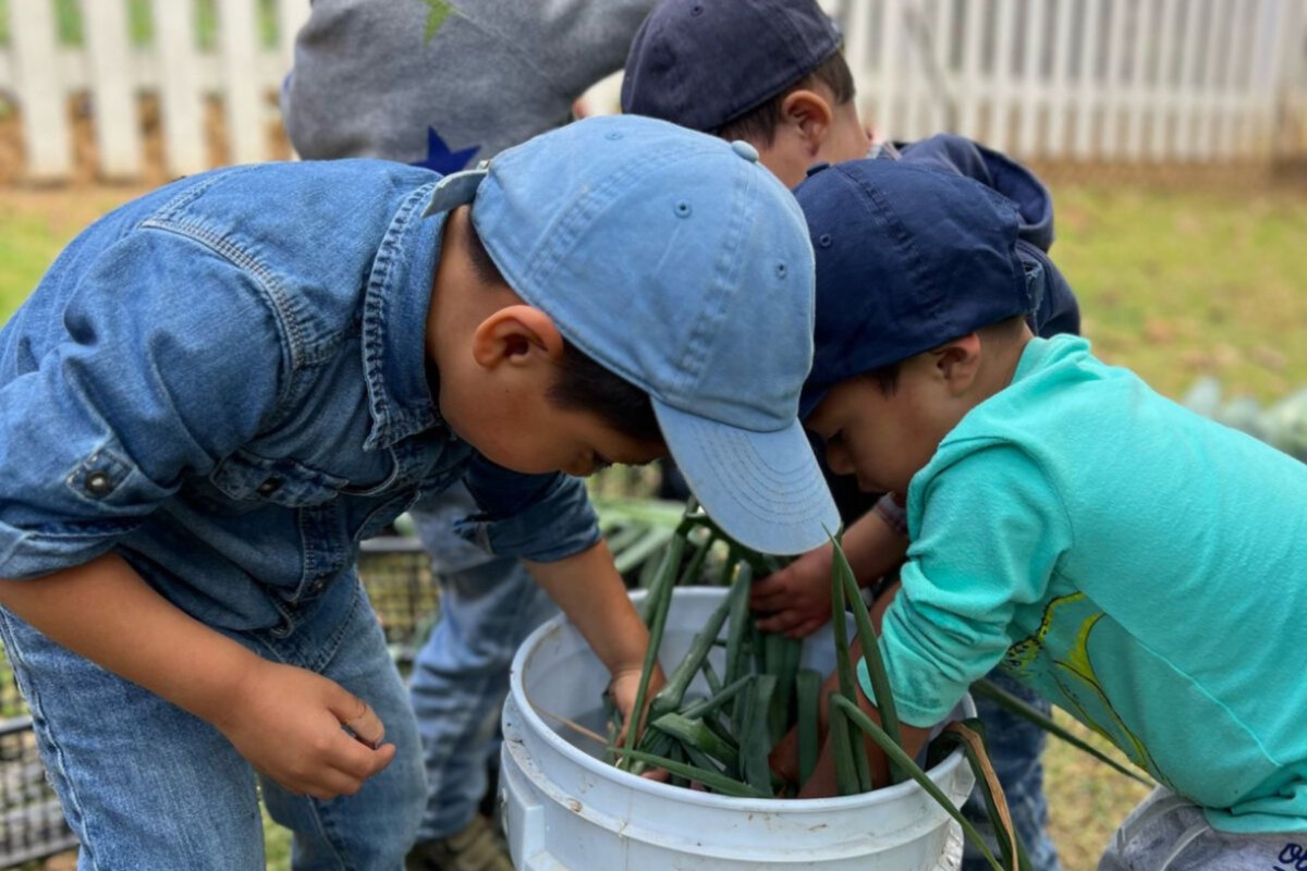 Stories of Impact: Children Who Flourished Through Mentorship